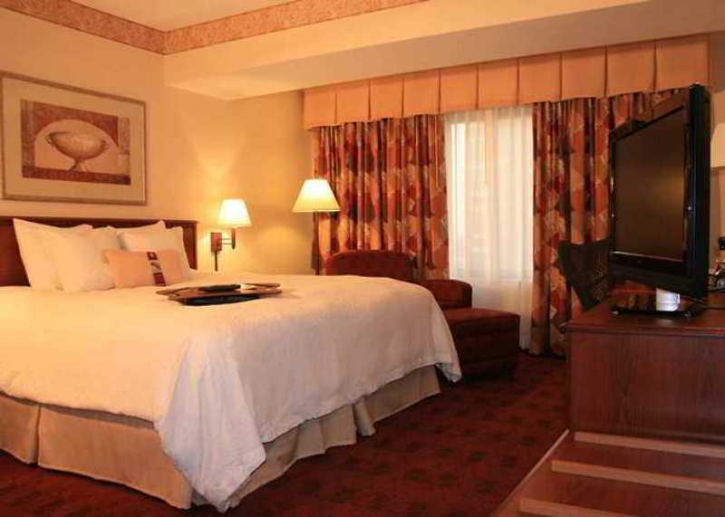 Hampton Inn St Louis- At The Arch Saint Louis Pokoj fotografie